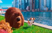 The Secret Life of Pets 