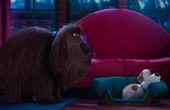 The Secret Life of Pets 