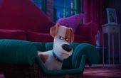 The Secret Life of Pets 