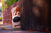 The Secret Life of Pets 