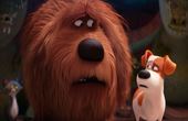Pets - Vita da animali 