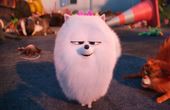 The Secret Life of Pets 