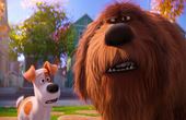 Pets - Vita da animali 