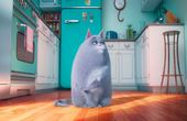 The Secret Life of Pets 