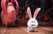 The Secret Life of Pets 