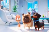 The Secret Life of Pets 