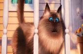 The Secret Life of Pets 