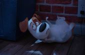 The Secret Life of Pets 