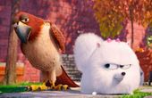 The Secret Life of Pets 