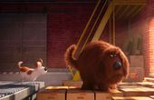 The Secret Life of Pets 