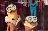 Minions 