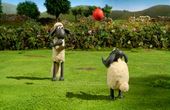 Shaun het schaap 