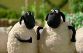 Shaun het schaap 