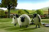 Shaun het schaap 