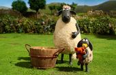 Shaun het schaap 