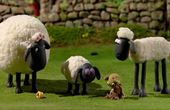 Shaun het schaap 