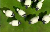 Shaun het schaap 