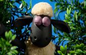 Shaun het schaap 