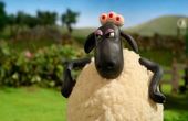 Shaun the Sheep 