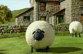 Shaun het schaap 