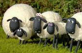 Shaun het schaap 