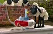 Shaun het schaap 