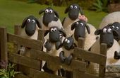 Shaun het schaap 