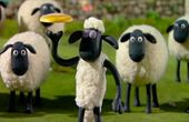 Shaun het schaap 