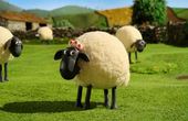 Shaun het schaap 