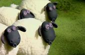 Shaun the Sheep 