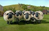 Shaun the Sheep 