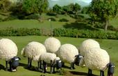 Shaun het schaap 