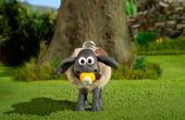 Shaun the Sheep 