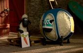 Shaun het schaap 