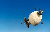 Shaun het schaap 