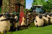 Shaun the Sheep 