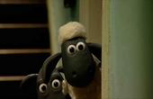 Shaun het schaap 