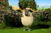 Shaun het schaap 