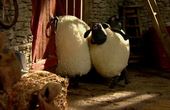 Shaun het schaap 