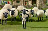 Shaun het schaap 