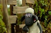 Shaun het schaap 