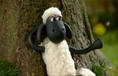 Shaun het schaap 