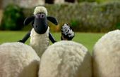 Shaun the Sheep 