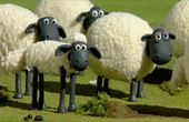 La Oveja Shaun 