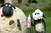 Shaun het schaap 