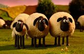 Shaun het schaap 