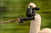 Shaun le mouton 