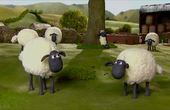 Shaun het schaap 