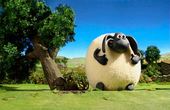 Shaun het schaap 