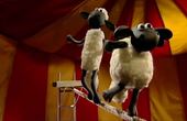 Shaun the Sheep 